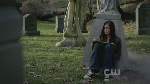 the Vampire Diaries Chuck Taylor Lo Top Sneakers