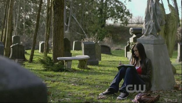 the Vampire Diaries Chuck Taylor Lo Top Sneakers